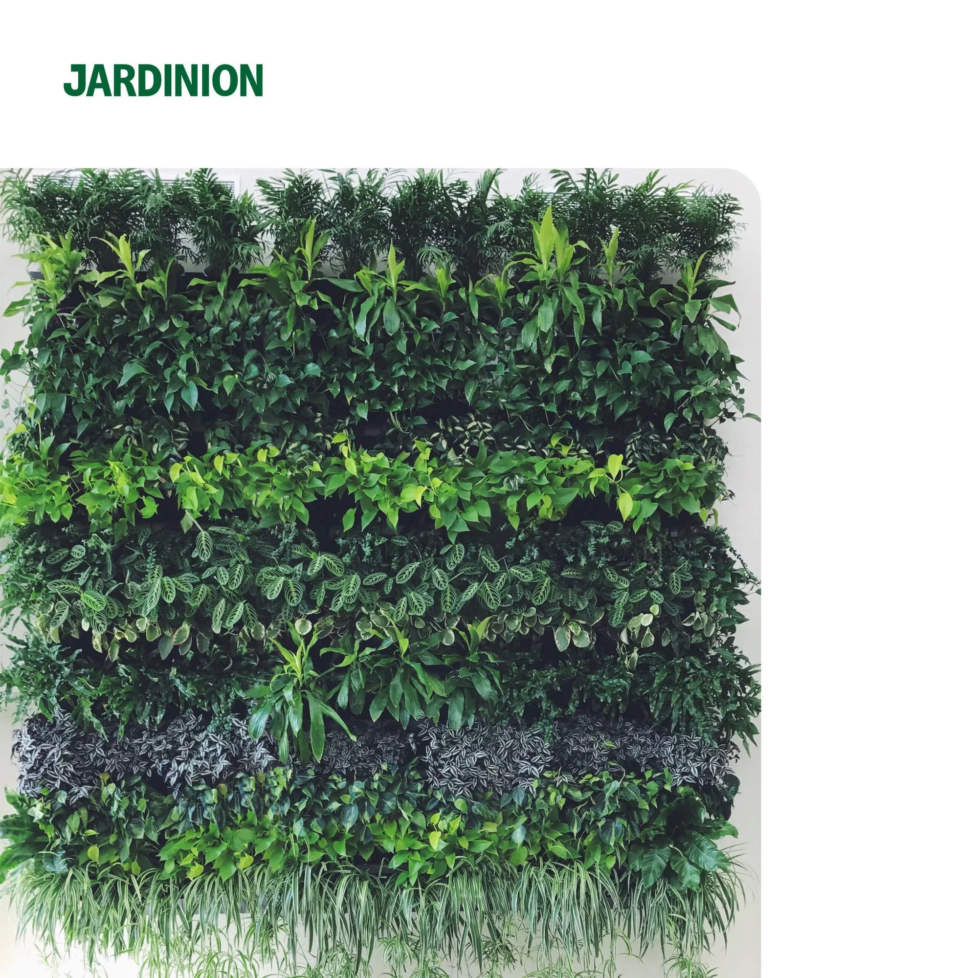 jardin-vertical,-mur-végétal-marron-foncé-3-x-1m
